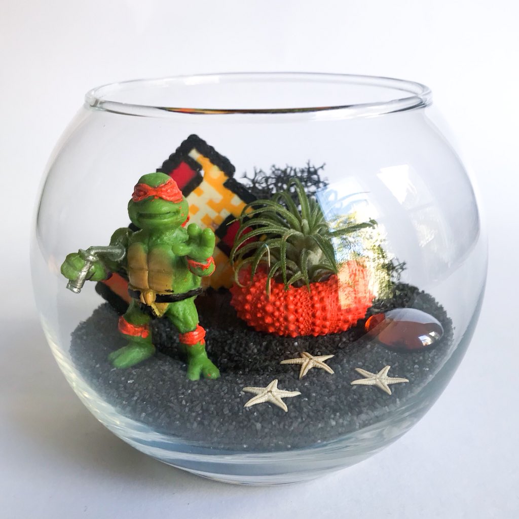TerrariumKits's tweet photo. #NEW! The limited edition TMNT Series: Michelangelo Terrarium Kit. Available exclusively at my Etsy shop. Link in bio. 🐢🧡🍕
#TerrariumKits #DIY #airplant #minigardens #homedecor #deskdecor #Etsy #SFEtsy #shopsmall #TMNT https://t.co/3VEtjoCRTn