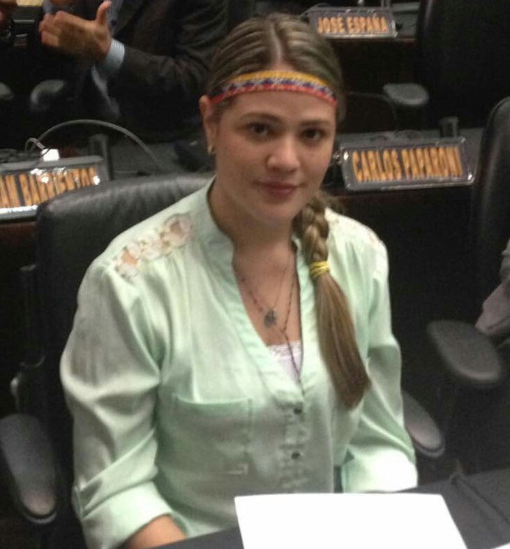 "No podemos colaborar con un futuro incierto. Así como nosotros no participaremos, la observación internacional tampoco lo hará", señaló la diputada @ElimarDiazUNT.