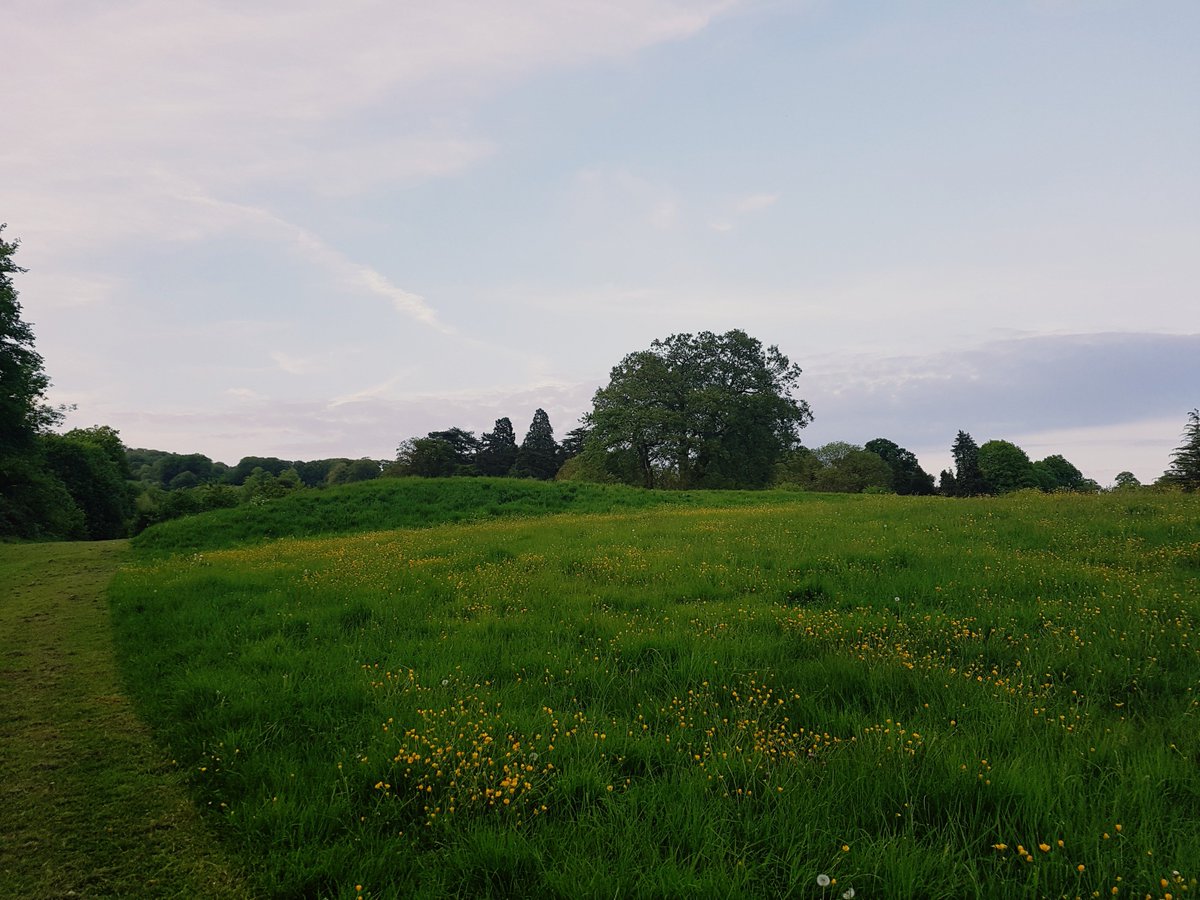 ChakraFlowDance's tweet image. A beautiful end to a beautiful day 💖 Breathing in #nature 😊