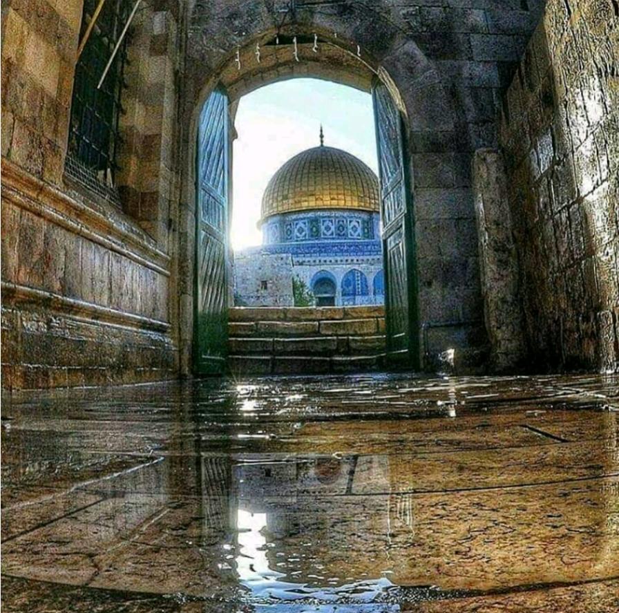 AsyahanSultan's tweet photo. Ebubekir yok diye sadakat, Ömer yok diye adalet, 
Osman yok diye edep,  
Ali yok diye ilim,  
Selahattin yok diye  
Kudüs yetim kalamaz!  #ZulmeLanetKudüseDestek https://t.co/toBIPa7dEw