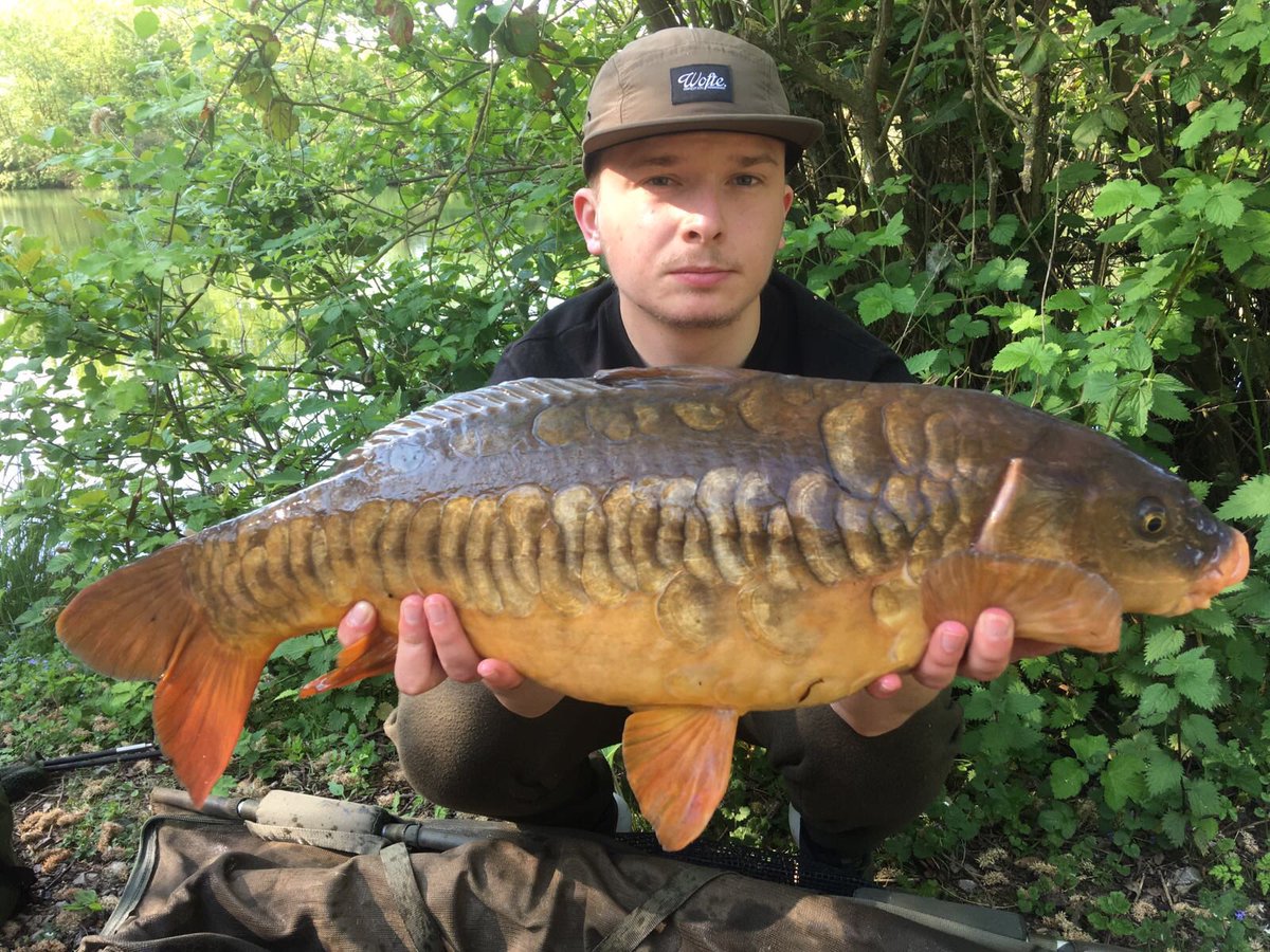Leads_2_Go's tweet photo. Team member Toby managed 2 fish this morning. Well done bro #leads2go #l2g #fishing #carpfishing https://t.co/P5qjfZzM57