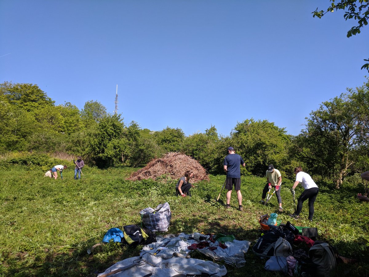 bristolsb's tweet photo. A brilliant day for a @bristoluni student volunteer action day with @EnvAgency research team and @MalagoValleyCG #skillsbridge https://t.co/7kQc4ucbem