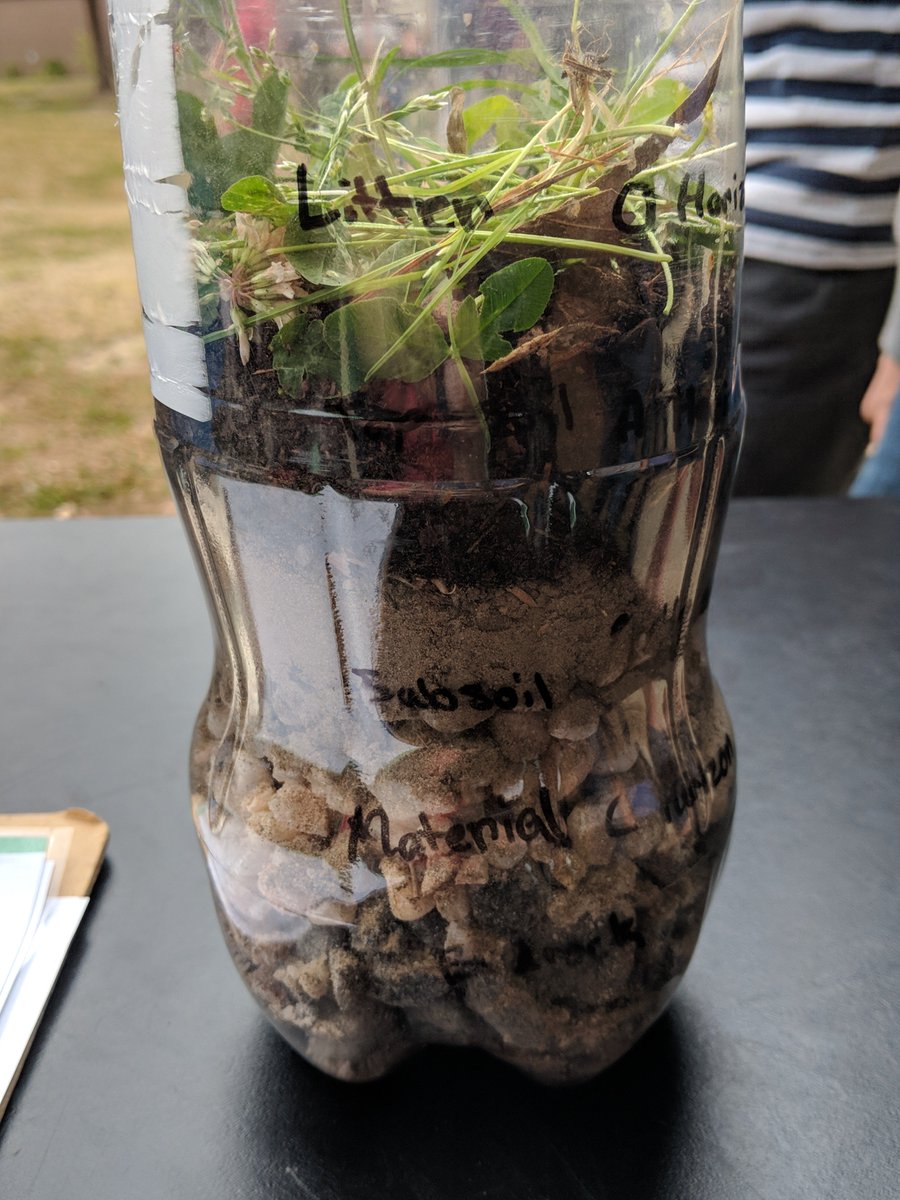 JinkiesScience's tweet photo. 7th Grade Students are creating soil profiles during our 1st Lab Practical.
#cpmawesome #getdirty #nopenandpaper #outsideclassroom @Crosbyjered @cpmiddle @bcsdschools https://t.co/jZiUrvtN2o