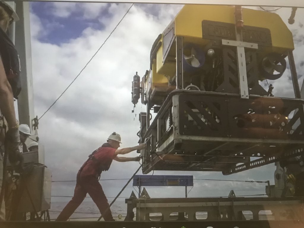 Fdouvere's tweet image. Fascinating science journey to White Shark café. Unique moment of data collection at 1000m depth. Why white sharks converge at this remote spot in the midst of the high seas remains mystery #WhiteSharkVoyage