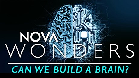 Building Artificial Brain