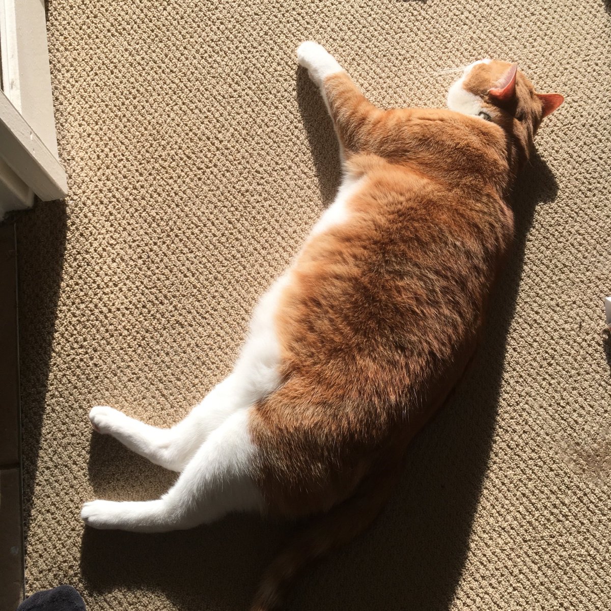 planningnotepad's tweet image. #WhyEyeCare 😍😍😍