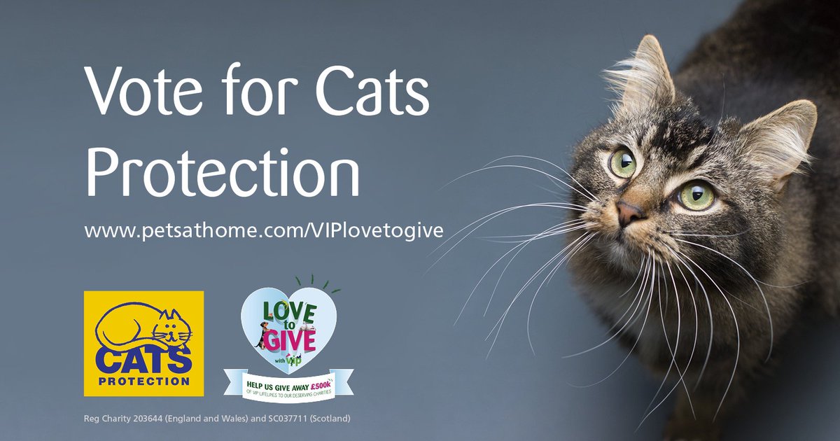 cats protection branches