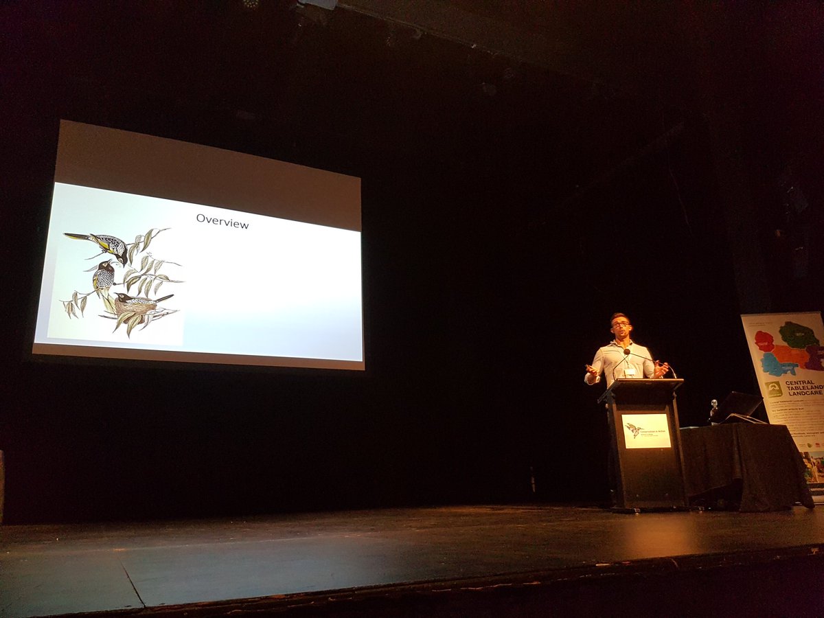 Mick_Callan's tweet photo. Ross Crates talking about the critically #endangered Regent Honeyeater at #ConservationInAction2018 https://t.co/xp2FWy9xhf