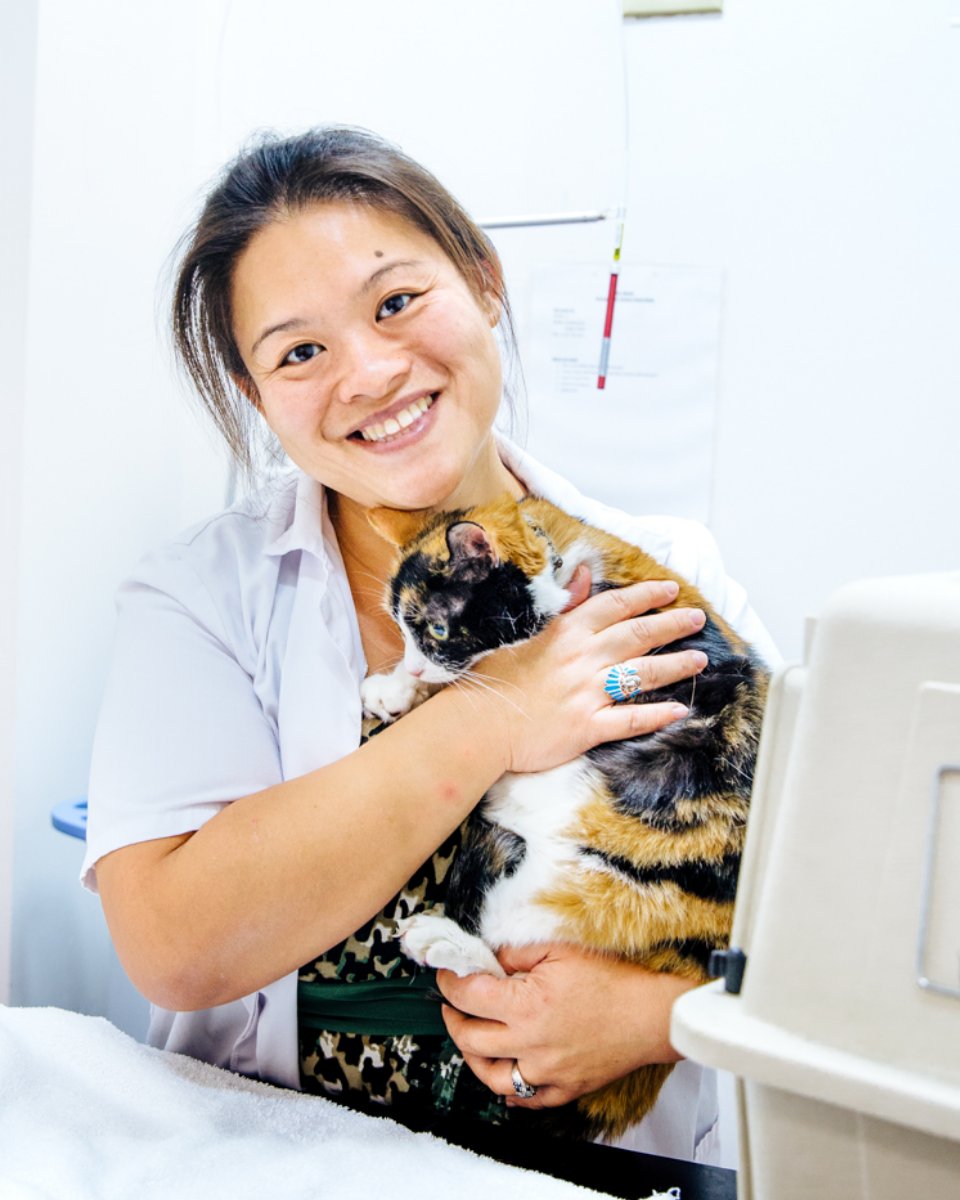 Animal House Vets (AH_Vets) Twitter