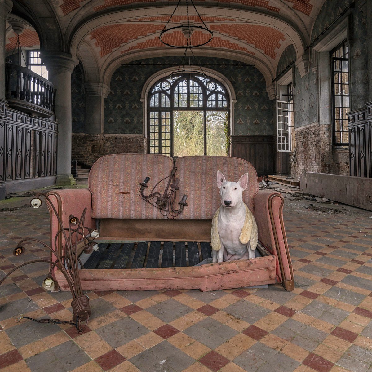 Google's tweet photo. When urban exploration meets a 🐶, you get what photographer Alice Van Kempen calls "Furbex." Taking photos of her dog Claire in abandoned buildings around Europe, Alice scouts locations using @googleearth and #StreetView. #SearchOn https://t.co/foIimJPmX1