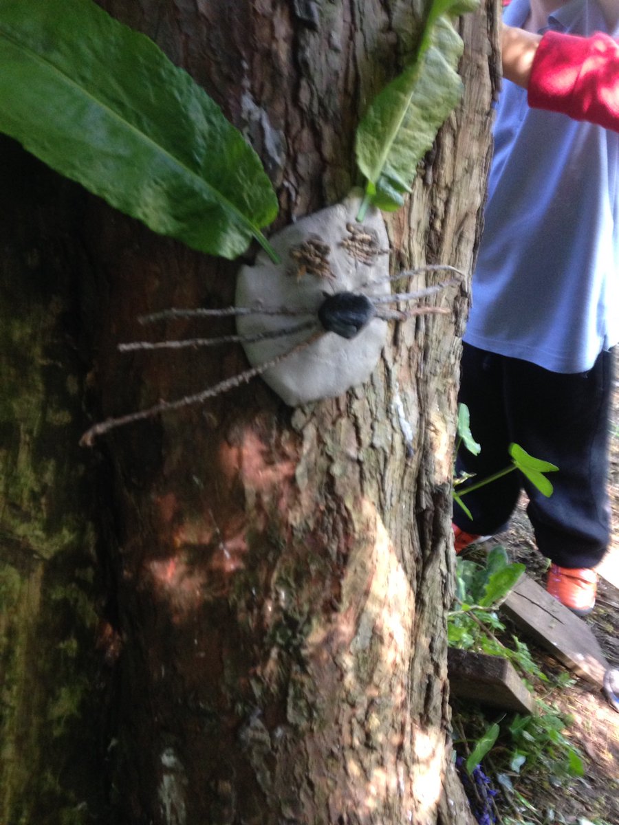 PentrerGraig's tweet photo. Crazy critters are hiding in the secret garden #pgprockets #pgpfinemotorskis #pgpphysical #pgpart #pgpoutdoorlearning https://t.co/QgG20ddmzF