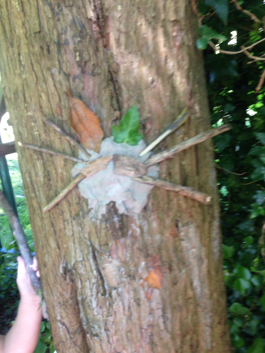 PentrerGraig's tweet photo. Crazy critters are hiding in the secret garden #pgprockets #pgpfinemotorskis #pgpphysical #pgpart #pgpoutdoorlearning https://t.co/QgG20ddmzF