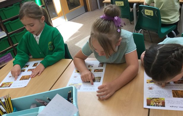 Year 1 tweet media