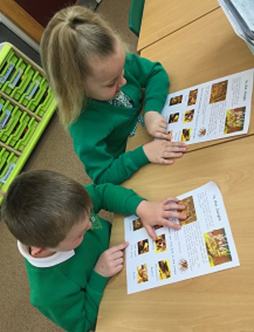 Year 1 tweet media