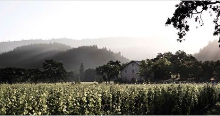 Is architecture your thing? Do you love seeing how building styles change over time? More about <a href="/ChMontelena/">Ordify</a>, <a href="/EhlersEstate/">Ehlers Estate</a>, @DarioushWinery, &amp; @TrefethenFamily Vineyards here: bit.ly/DWTNVArch

Book your Dynamic Wine Tour (707) 252-2300 or online: bit.ly/DWTReserve