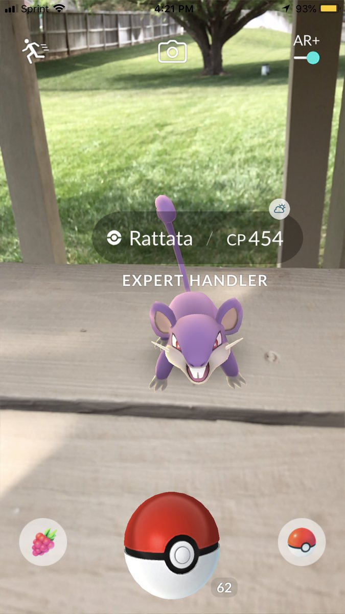 sara_snacks's tweet image. #ExpertHandler Gimme gimme gimme! More tiny rats!!!!!