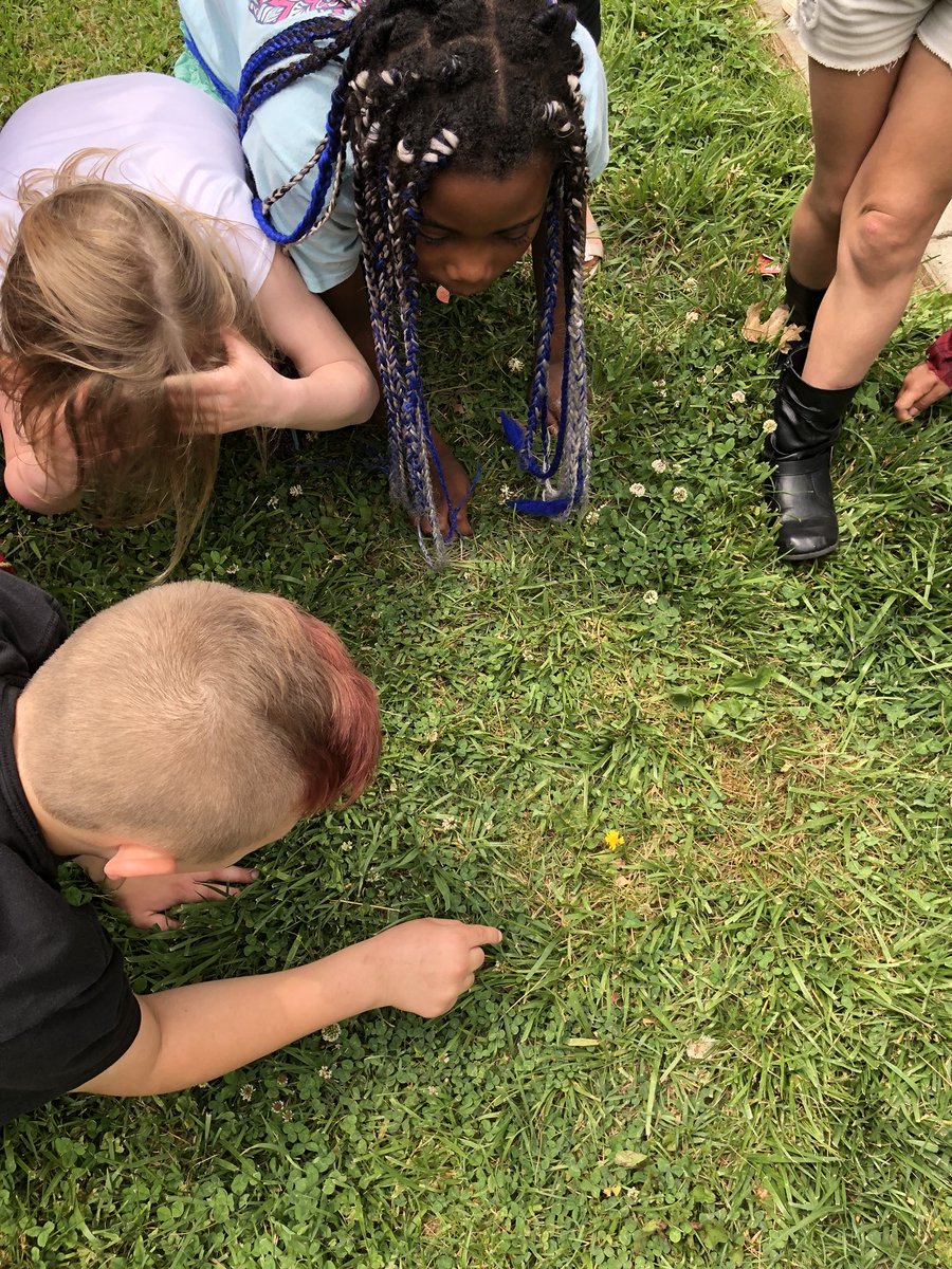 MissCannington's tweet photo. Happy Super Hero Day from Mario and Luigi! We also released our ladybugs today! #TheACSWay #TheHFEDifference https://t.co/mteLSXgPet