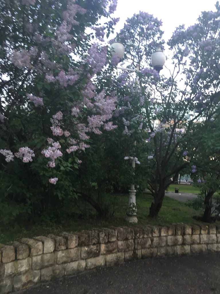 DashaSamkova's tweet photo. Summa https://t.co/GJ4QqaEUJC