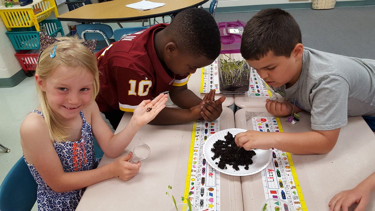 DCESJFachler's tweet photo. Who knew the redworms would be such a hit?! Observing and describing our newest organisms. https://t.co/CVwtWmJtvT