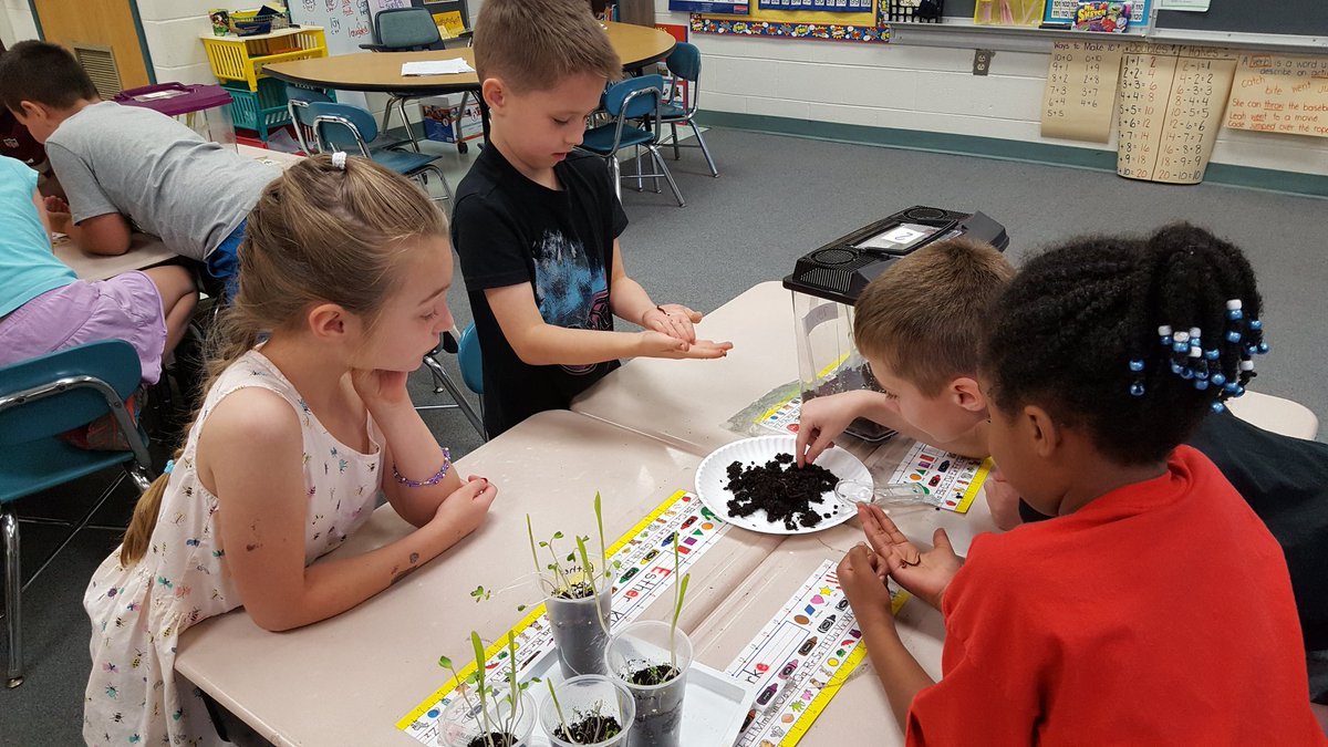 DCESJFachler's tweet photo. Who knew the redworms would be such a hit?! Observing and describing our newest organisms. https://t.co/CVwtWmJtvT