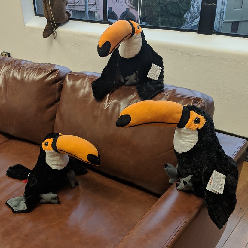 FlutterVR's tweet photo. Wow! Check out this durante of Toucans! You can win these little friends during our livestream which is TOMORROW! At 1pm NZT over on our Facebook page!

We can't wait to see you there! 🦋 https://t.co/Yc5X9PDZTW