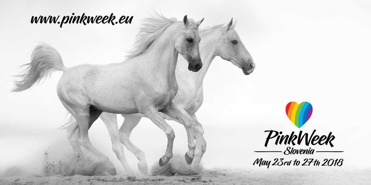 Lipizzaners must be the perfect creatures. Visit <a href="/KobilarnaLipica/">Kobilarna Lipica</a> at #Pinkweek2018. #TTOT #TravelTuesday