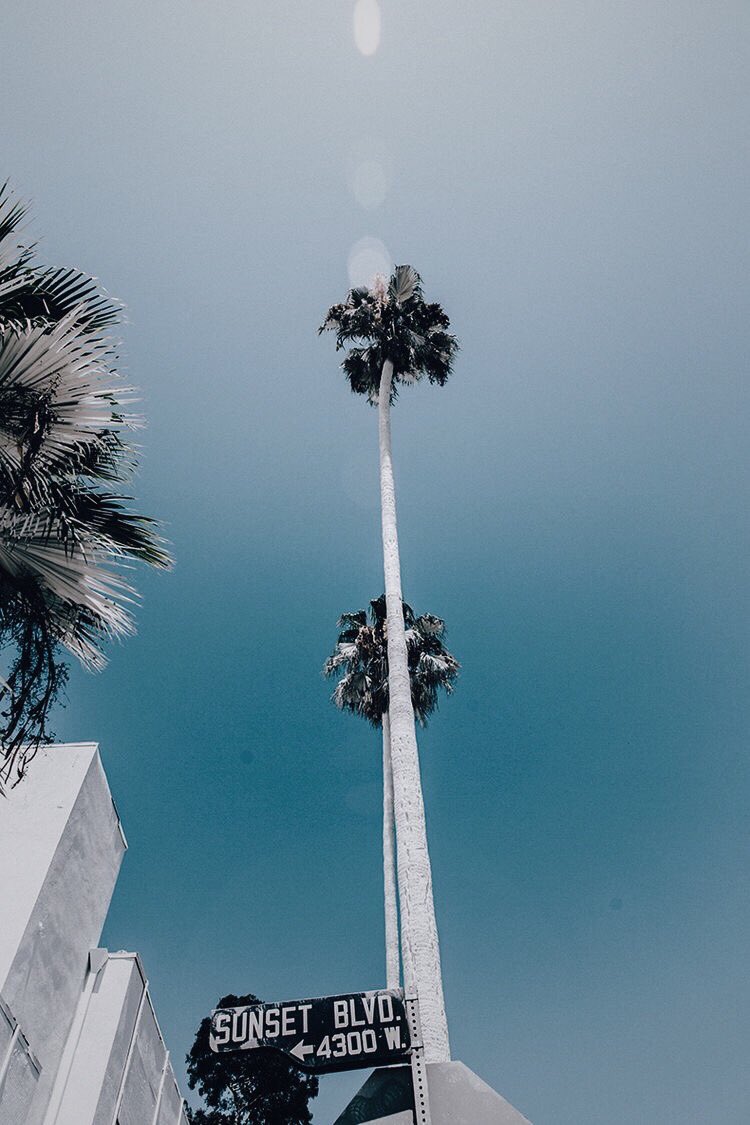 dallaesthetic's tweet photo. https://t.co/CWx0wu4VWm