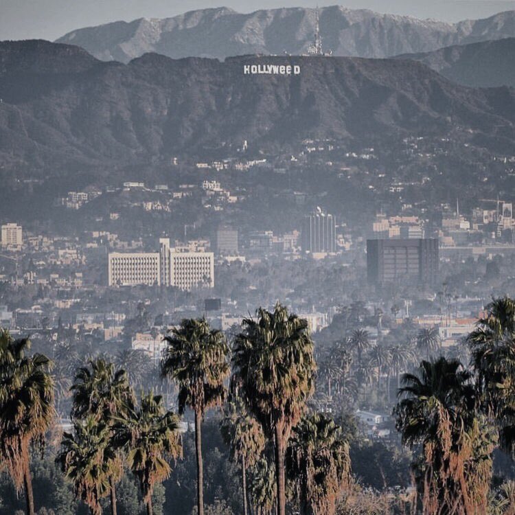 cameron aesthetic (@dallaesthetic) on Twitter photo 