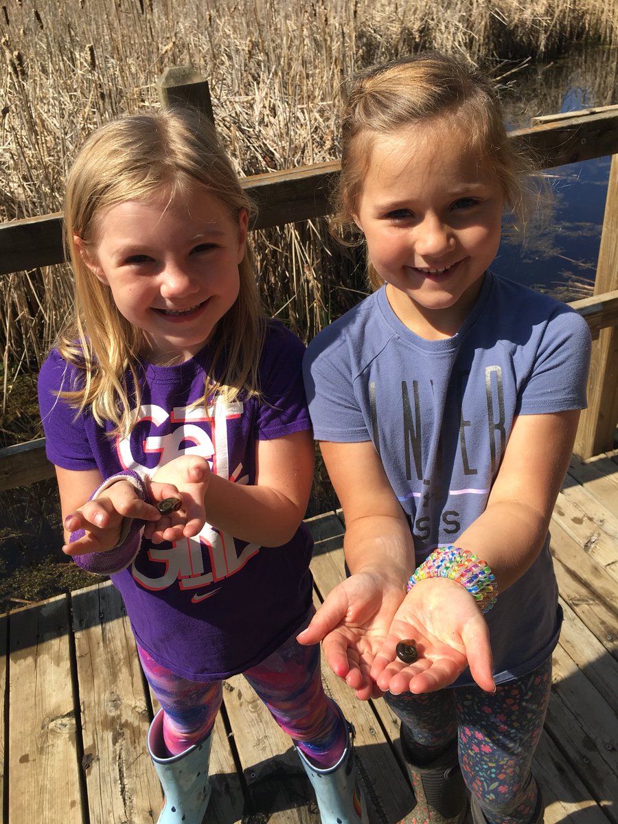 AndeeWebb's tweet photo. A leech, caterpillars, snails, and some baby turtles. A perfect morning in Kindergarten! #nature #kinders #fivehawks. https://t.co/y9HgsktDOG