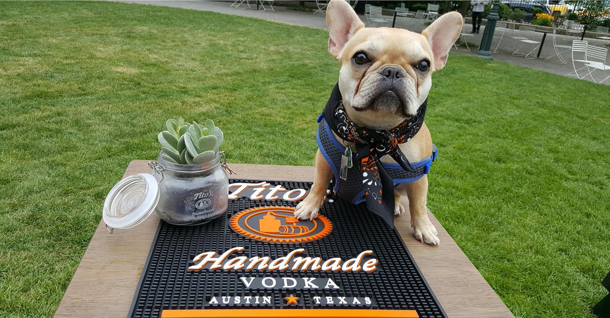 BreakthruBevWI's tweet photo. .@TitosVodka and @imgur have partnered together to present "Project Stardust," an initiative that encourages people to give back to their communities. https://t.co/CISrlvKCFq https://t.co/LgqfkUMRan