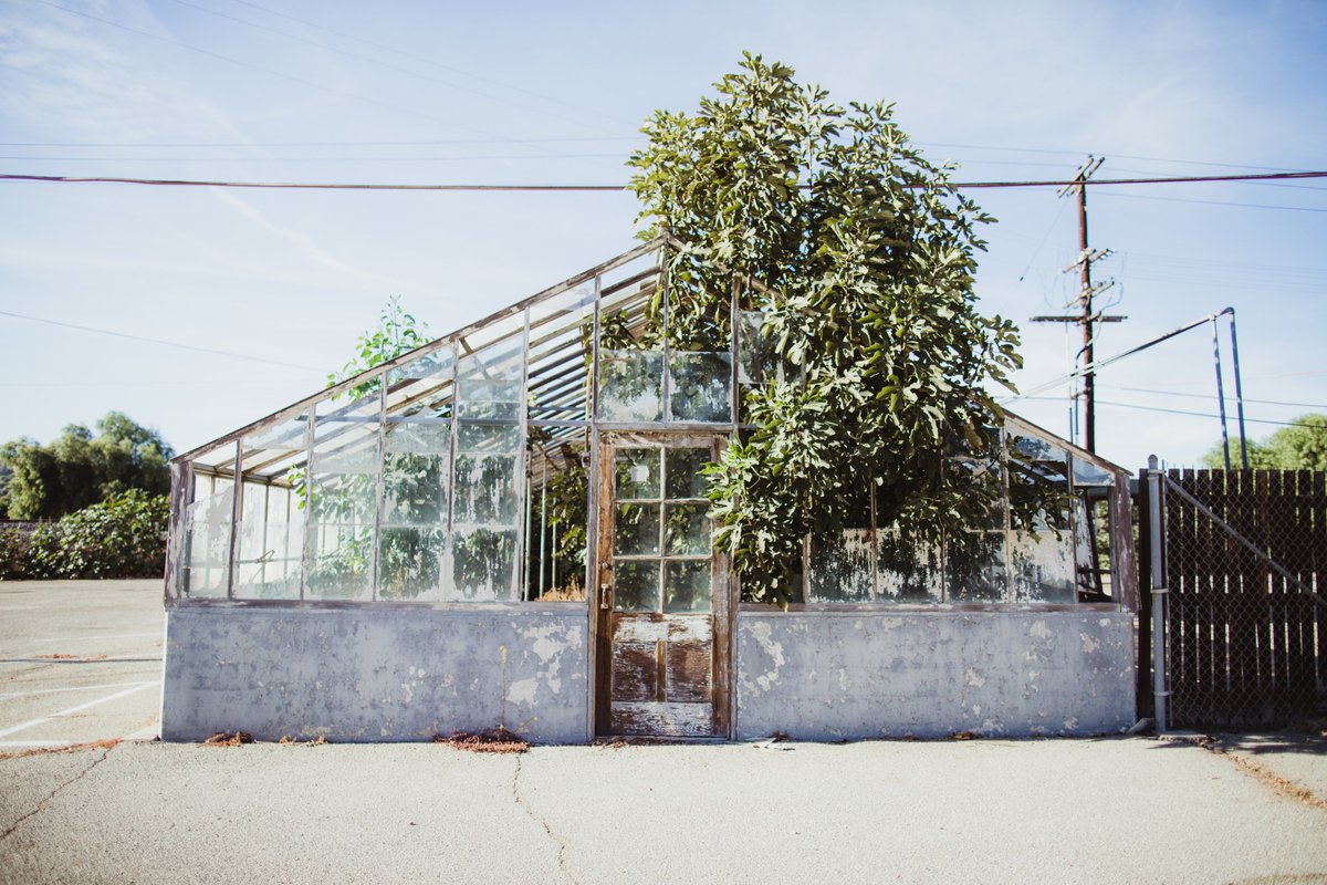 rsilocations's tweet photo. Green House
#locationscouting #lafilm #rsilocations #plants #locationmanager #director #producer https://t.co/mx12UDFheT