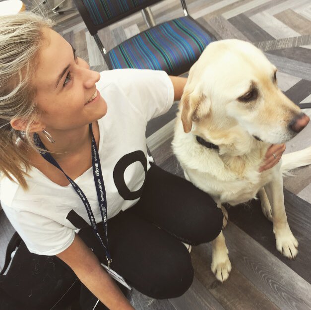 EBettany's tweet photo. Having a cuddle with the guide dogs at @DerbyUni today🐶🐶 @DerbyUnion https://t.co/7v7wnhNMIg