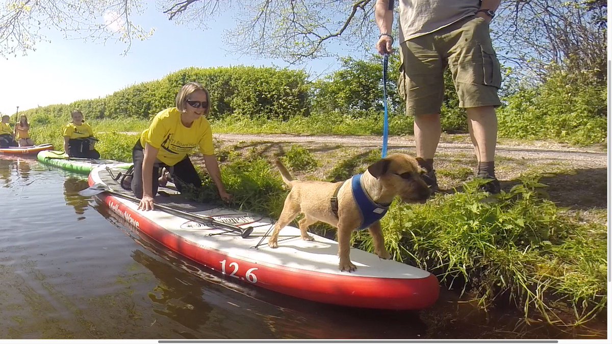 TJBoardhire tweet media