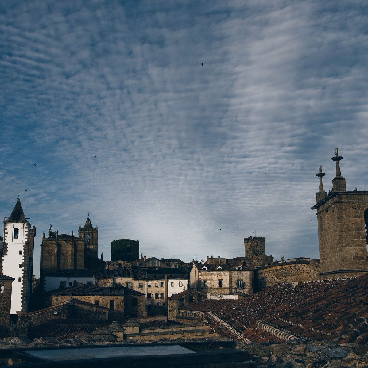 BrabanteCerveza's tweet photo. ¿Sabías que en 1968 la Ciudad Monumental de Cáceres fue declarada por el Consejo de Europa como el Tercer Conjunto Monumental del viejo continente y, en 1986,  Patrimonio de la Humanidad por la Unesco? 🤔 #MomentoBrabante #Brabante #Brabantepedia #ElGalloViajero #Travel #Cerveza https://t.co/a7XZeP3fRU