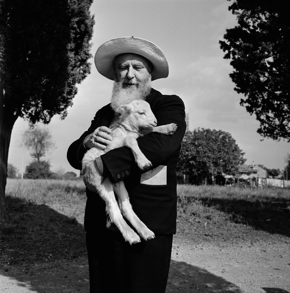 JONLP84's tweet image. /⚪⚫
Farmer with lamb, Italy
#BillPerlmutter