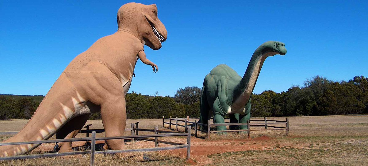 Happy #DinosaurDay ! Have you ever been to @GlenRoseTexas’ @DinoValleySP ?

📷: @TPWDparks