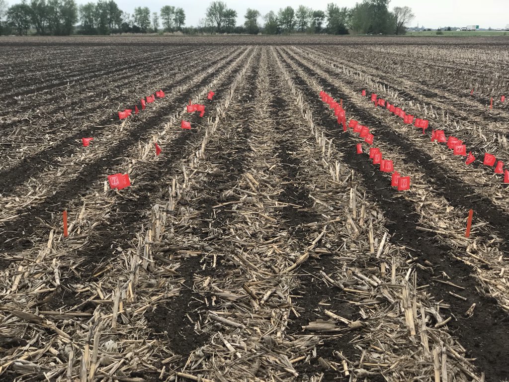 Precision Planting tweet media