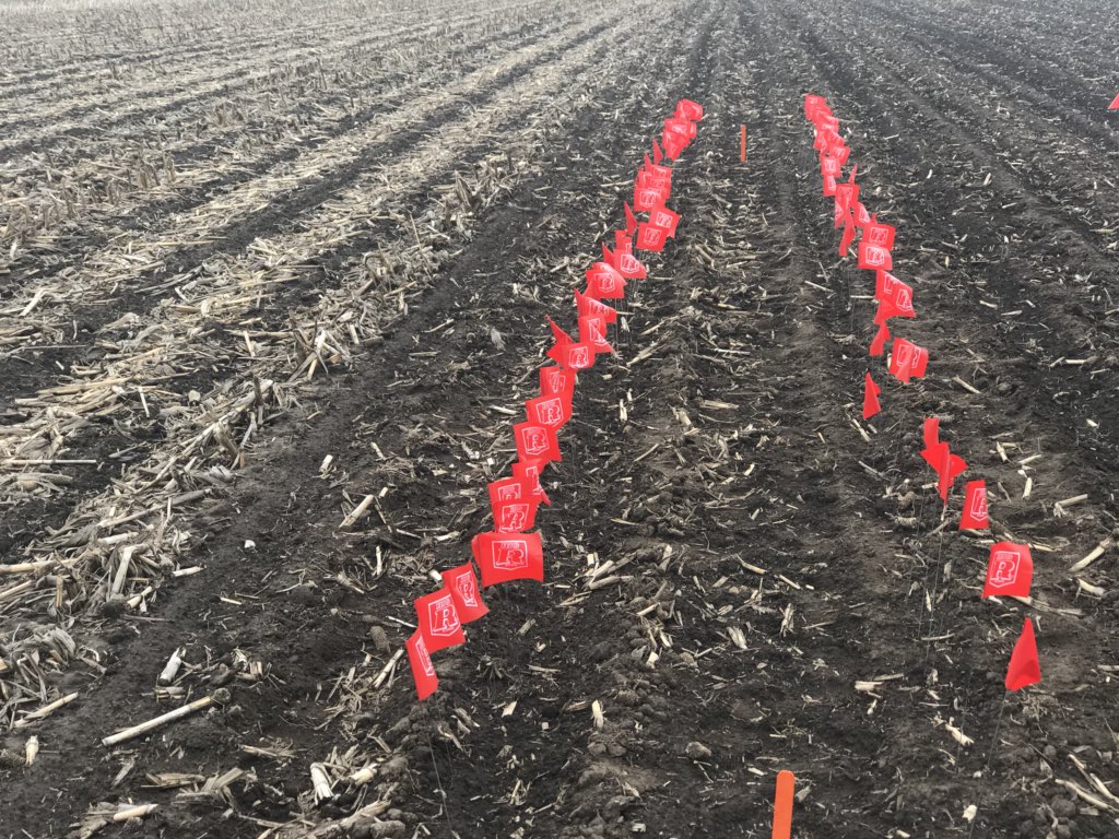 Precision Planting tweet media