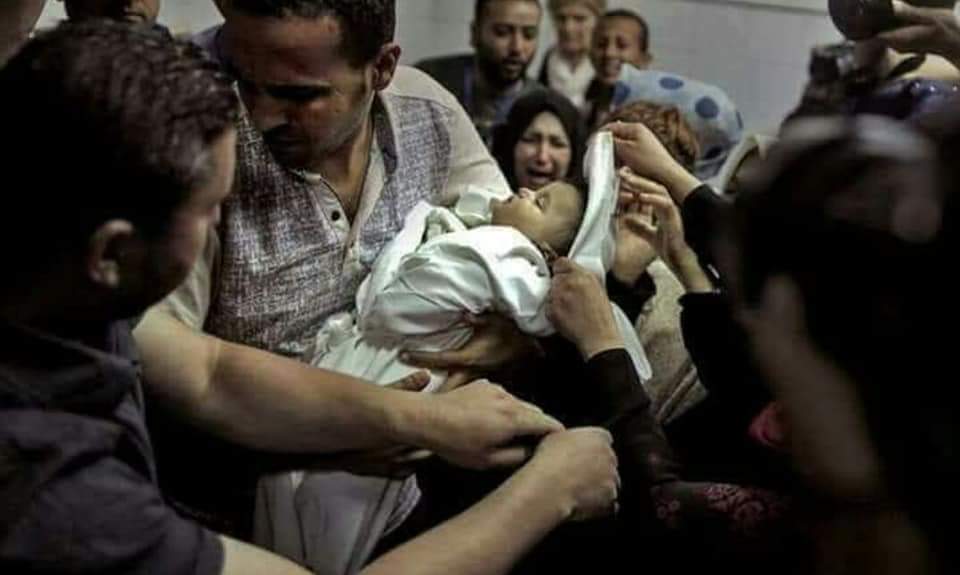 SaysHummingbird's tweet photo. Never forget that Israel killed 8 month old Layla yesterday.

Never forget Layla's beautiful face.

Never forget, Layla was a beautiful soul who will never open her eyes.

Never forget the name. Layla.

We cannot be silent. If you have been silent, you need to evaluate your life. https://t.co/iICHD8wAKq