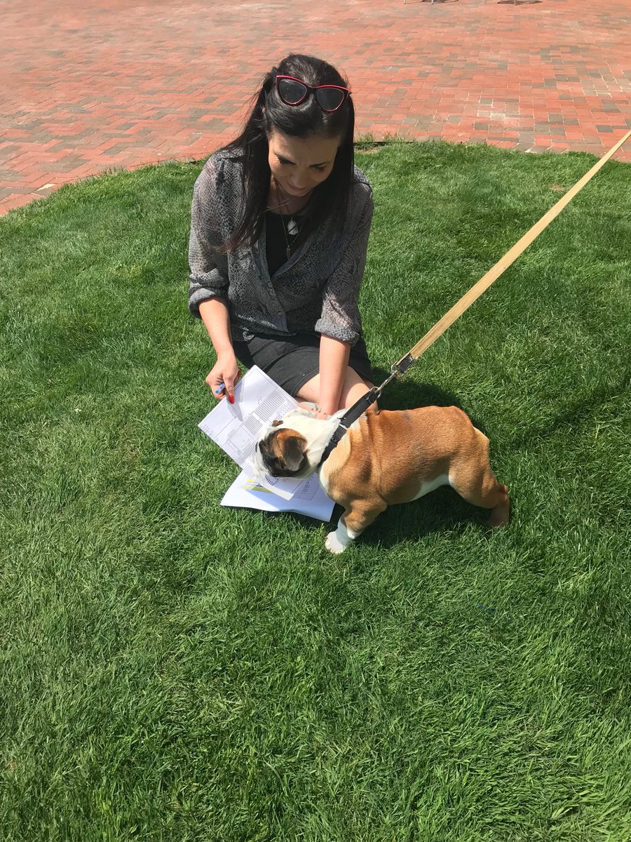 SheilaGuay's tweet photo. Tupper II gives his paw print of approval to the commencement tent layout. #bryantgrad2018 https://t.co/NWowMr3sEB