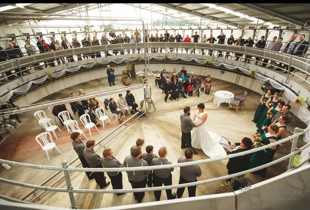 gillian_sm's tweet photo. Wedding New Zealand style with Waikato Milking Systems 😊 https://t.co/RiloDqp2XS