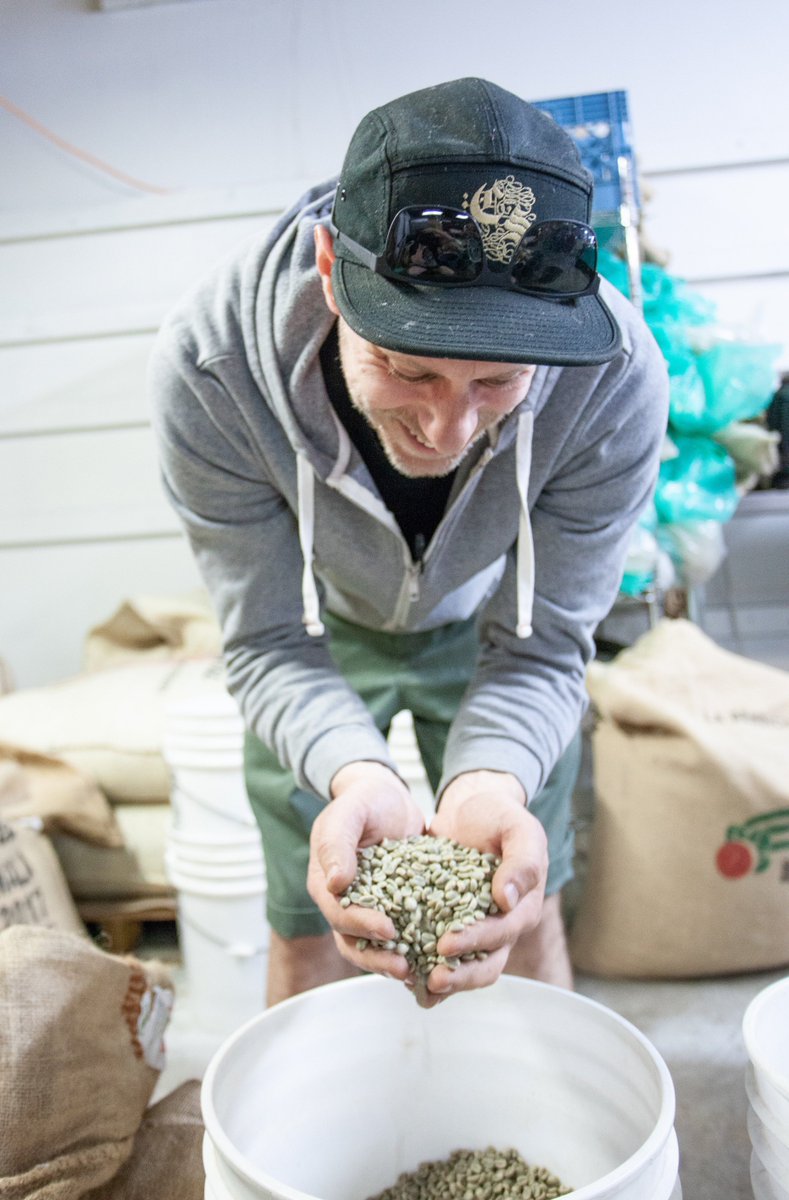 Case Study Coffee tweet media