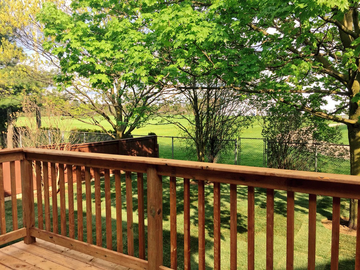TawnyaGvoich's tweet photo. COMING SOON | This backyard view could be yours! #Guelph #olduniversity #royalrectrail 🌿 https://t.co/2DN0lE27y5