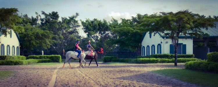 TropicalRacing tweet media