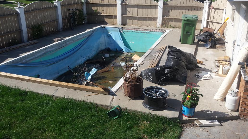 WinkFace91's tweet photo. @X929 #MyNewYardWish is for the swamp to be gone and replaced with a beautiful lawn and vegetable garden! https://t.co/fikDUrQtkQ