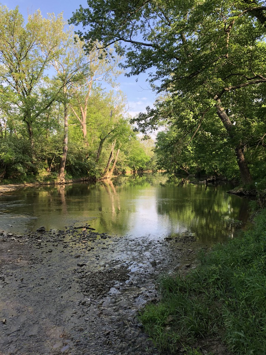 EAllard24's tweet photo. Every day I’m here, Kentucky starts to feel a little more like home❤️ #TheParklands #FloydsFork #PaddleBoarding https://t.co/ONpsCKUu1a