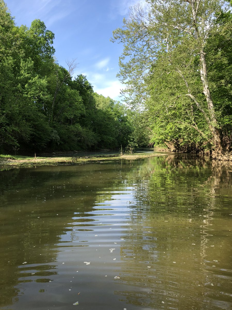 EAllard24's tweet photo. Every day I’m here, Kentucky starts to feel a little more like home❤️ #TheParklands #FloydsFork #PaddleBoarding https://t.co/ONpsCKUu1a