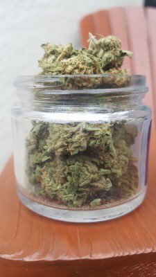 kushhunter111's tweet photo. I can’t help but be #loud #dank https://t.co/DEm2SustKZ