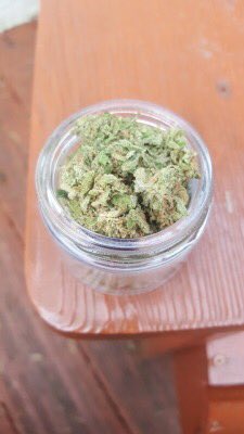 kushhunter111's tweet photo. I can’t help but be #loud #dank https://t.co/DEm2SustKZ