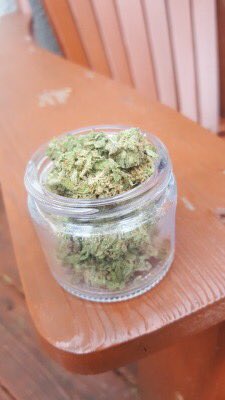 kushhunter111's tweet photo. I can’t help but be #loud #dank https://t.co/DEm2SustKZ